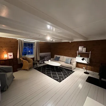 Enebolig Sentralt Pa Apartament *